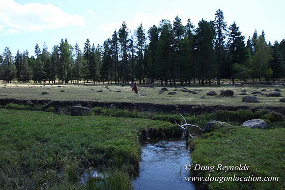 Ranch 18 South side of Hwy  has 2500 Acres of green fields Creeks water crossing Bridges on a Large Lake and miles of Dirt roads Oak trees  Forest land ATV Trails cows