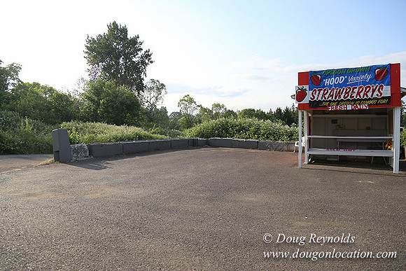 Hood Road Stand-5038