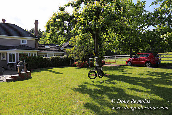 "2 Barns", "2 car garage", "40+ Acres", "PDX Zone", Pool, "White Fence", cows, "farm House", "rap around dive", "well maintained"
