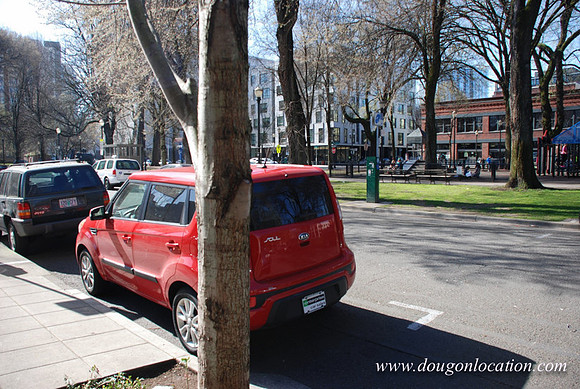 North Park Blocks-0044