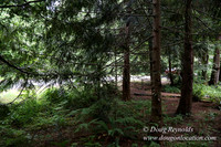 Gary's Cabin-7530