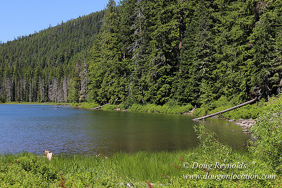 Frog Lake-3430