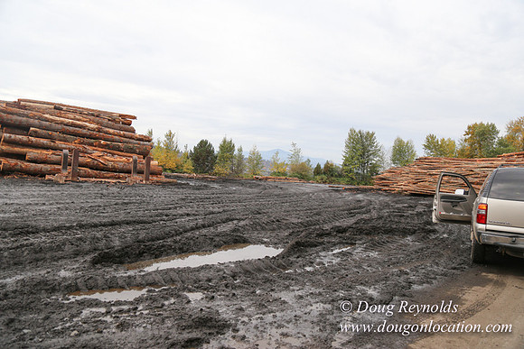 SDS Lumber-1330