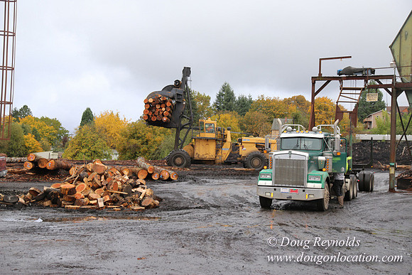 Saw Mill and Lumber Yard