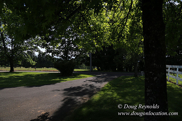 "2 Barns", "2 car garage", "40+ Acres", "PDX Zone", Pool, "White Fence", cows, "farm House", "rap around dive", "well maintained"