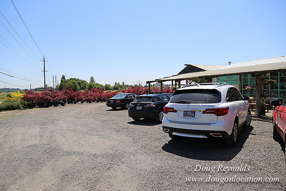 Little Door Farm Market-5386