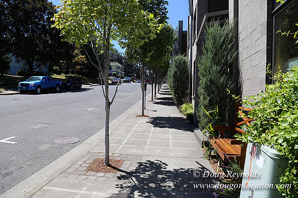 6th & Cascade HdRv-7974