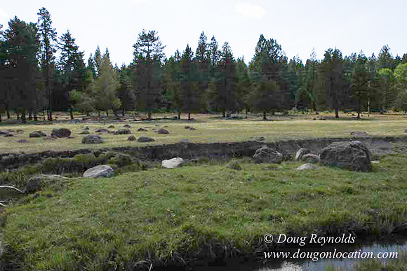 Ranch 18 South side of Hwy  has 2500 Acres of green fields Creeks water crossing Bridges on a Large Lake and miles of Dirt roads Oak trees  Forest land ATV Trails cows