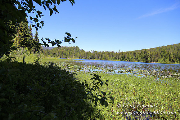 Trillium Lake-32003634