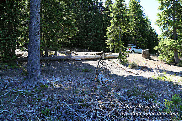 Frog Lake-3455