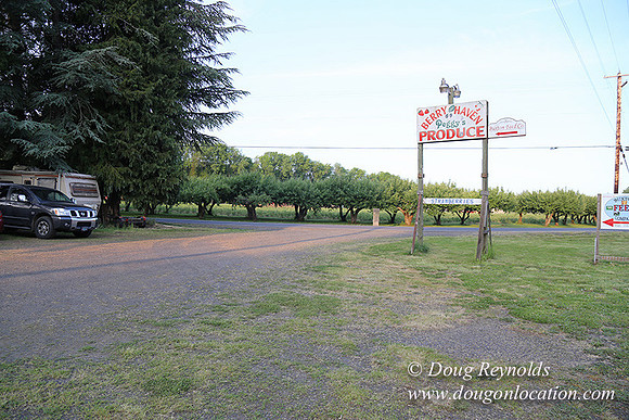 peggy's Produce-5100