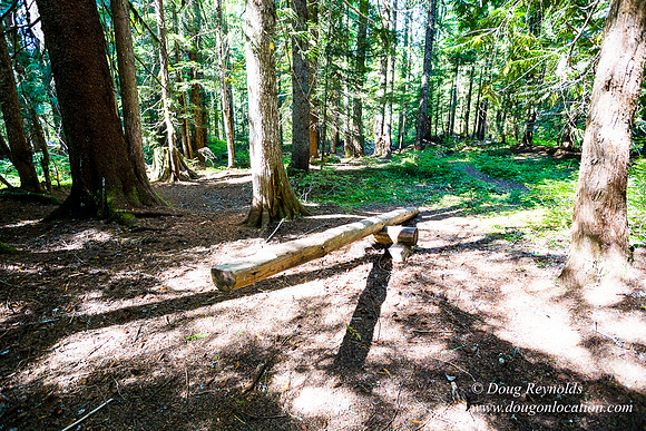 Karri's Cabin