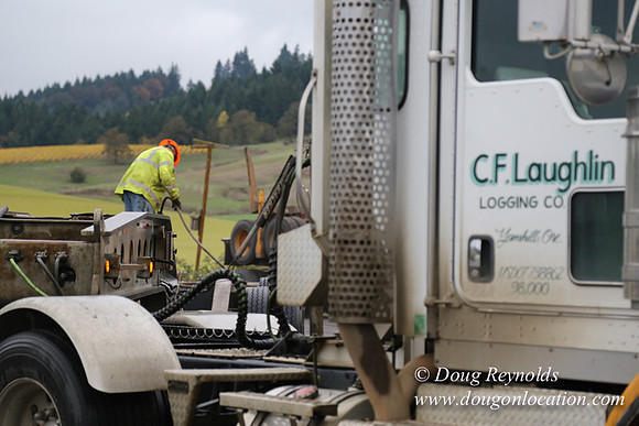 CFL Logging-0953