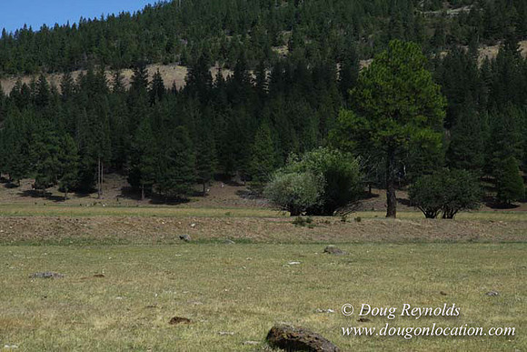 Ranch 18 South side of Hwy  has 2500 Acres of green fields Creeks water crossing Bridges on a Large Lake and miles of Dirt roads Oak trees  Forest land ATV Trails cows