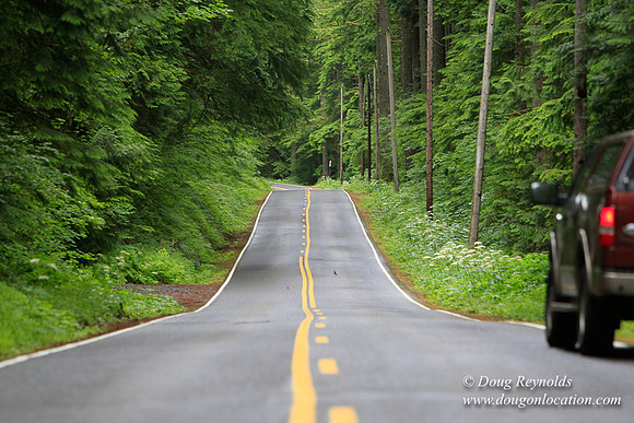Larch Mt Rd