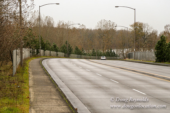Marine Dr Overpass-5297