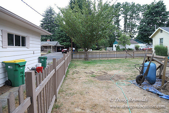 Nathan's Backyard-1728