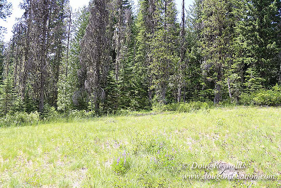 Jerry's Cabin-6661