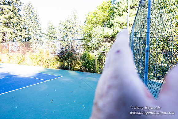 Washington Park Tennis Courts