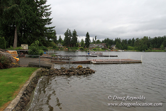 Boat, Cabin, Dock, "Greg's", Home, House, Lake, Small, WA, Washington, Yard, deck, green., vacation