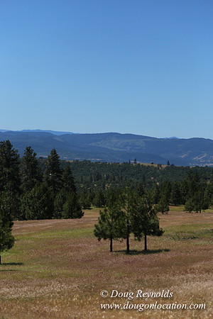 Brothers Ranch-8438