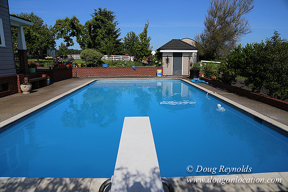 "2 Barns", "2 car garage", "40+ Acres", "PDX Zone", Pool, "White Fence", cows, "farm House", "rap around dive", "well maintained"