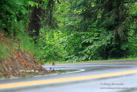 Brower Rd