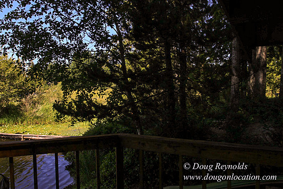Richter Lake House-8336