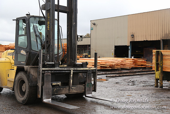 Saw Mill and Lumber Yard