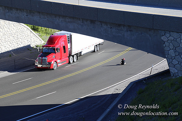CMD Western Star Production Photo