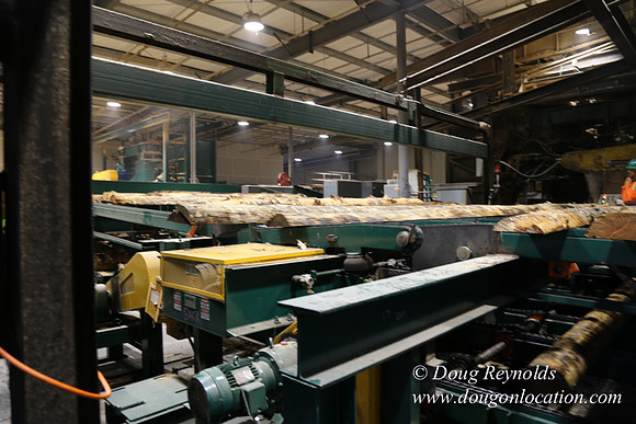 Saw Mill and Lumber Yard