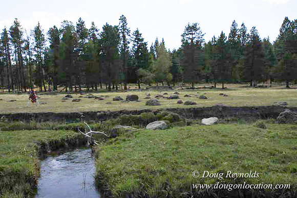 Ranch 18 South side of Hwy  has 2500 Acres of green fields Creeks water crossing Bridges on a Large Lake and miles of Dirt roads Oak trees  Forest land ATV Trails cows