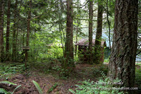 Gary's Cabin-7534