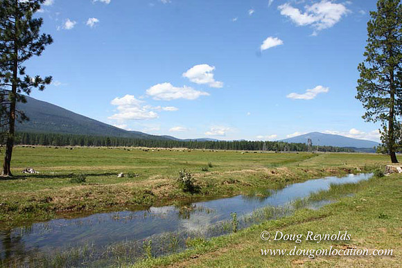 Ranch 18 South side of Hwy  has 2500 Acres of green fields Creeks water crossing Bridges on a Large Lake and miles of Dirt roads Oak trees  Forest land ATV Trails cows