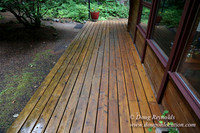 Gary's Cabin-7536