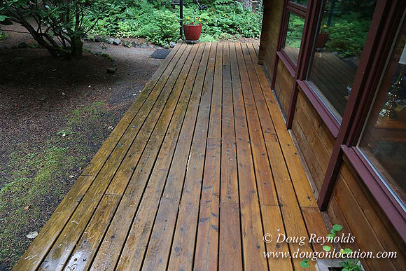 Gary's Cabin-7536