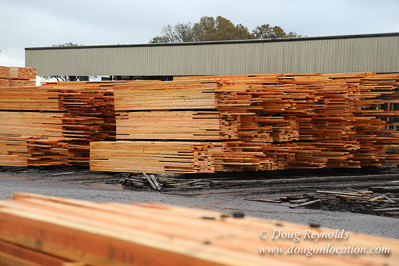 Saw Mill and Lumber Yard