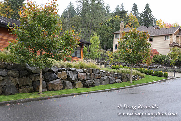 Kathy's House-0378