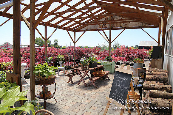Little Door Farm Market-5408
