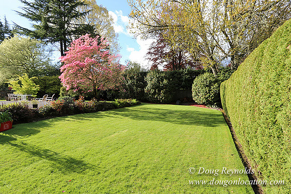 Mid Century Traditional Style Home, With a Basement, 2 car garage average sized Back Yard with Patio