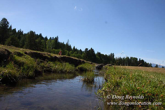 Ranch 18 South side of Hwy  has 2500 Acres of green fields Creeks water crossing Bridges on a Large Lake and miles of Dirt roads Oak trees  Forest land ATV Trails cows