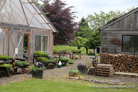 Shere's Garden Flowers & produce
