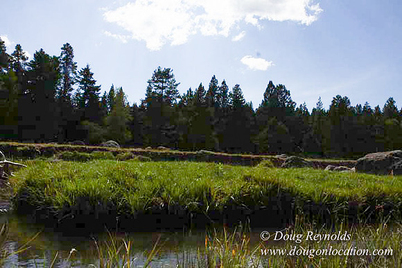 Ranch 18 South side of Hwy  has 2500 Acres of green fields Creeks water crossing Bridges on a Large Lake and miles of Dirt roads Oak trees  Forest land ATV Trails cows