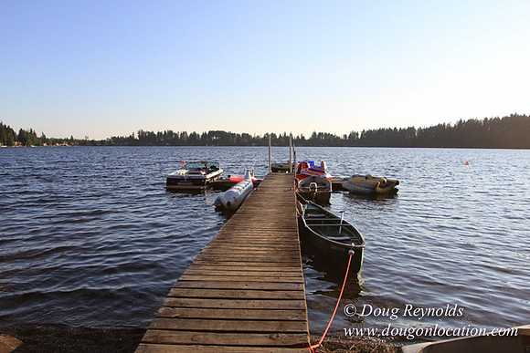 Boat, Cabin, Dock, Home, "House lake", WA, Washington, Yard, deck, "green. Beach"