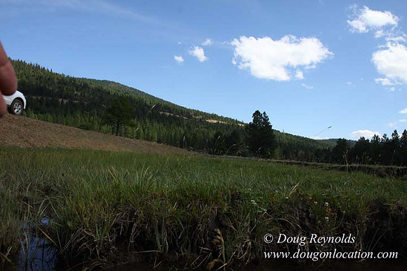 Ranch 18 South side of Hwy  has 2500 Acres of green fields Creeks water crossing Bridges on a Large Lake and miles of Dirt roads Oak trees  Forest land ATV Trails cows