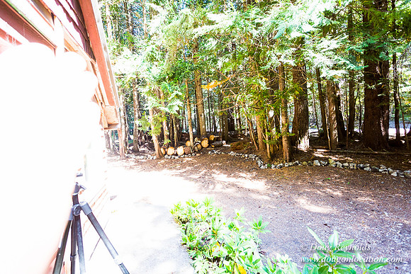 Karri's Cabin