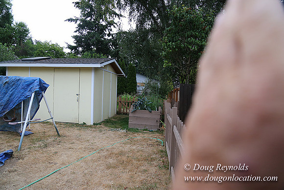 Nathan's Backyard-1726