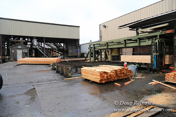 Saw Mill and Lumber Yard