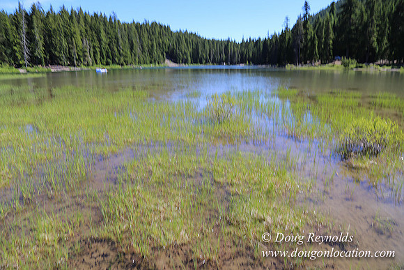 Frog Lake-3471
