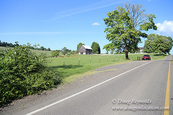 Helvetia rd Church-6058